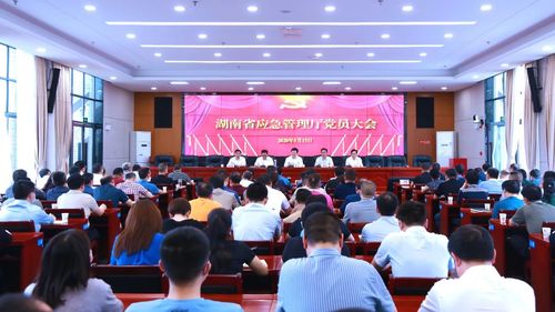 湖南省应急管理厅召开党员大会选举产生机关党委和纪委委员