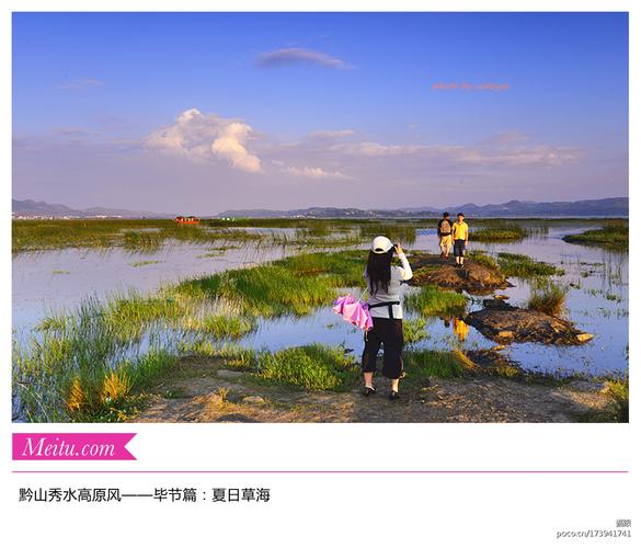 毕节——草海