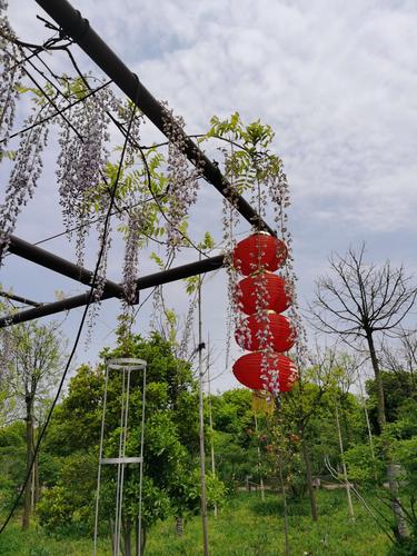 面积300亩,位于江南千年文化古镇-江苏省常熟市梅李镇,地理位置优越