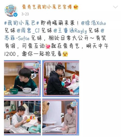 综艺《我的小尾巴》,哥哥妹妹的日常相处,探寻兄妹之间的欢乐日常,绝