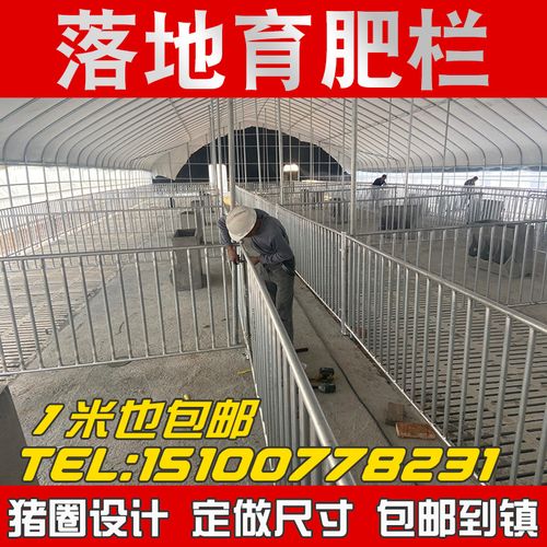 育肥栏 保育栏 猪用落地育肥栏保育栏 猪圈猪围栏钢管简易猪圈