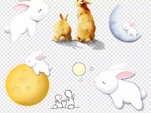 【小河春天广播】悟空带你闹天宫(三)张逸轩《玉兔捣