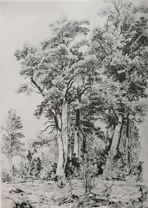 写美篇第四章    风景速写的语言    4-1点吴冠中 第五章第2节构图