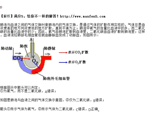 下图是肺泡与血液之间的气体交换示意图,根据图示分析