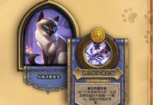 炉石传说酒馆战棋比格沃斯先生如何运营