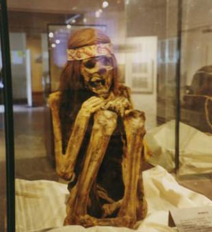 全球出土的木乃伊大盘点(组图)