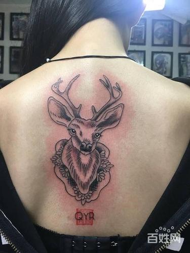 动物纹身手稿#麋鹿纹身#吴江 酷客纹身