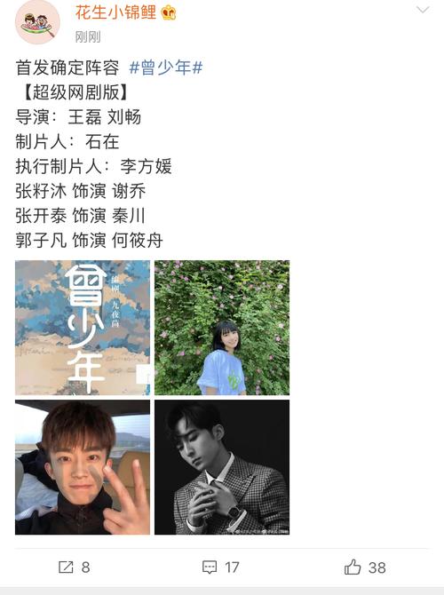 曾少年网剧阵容对应角色