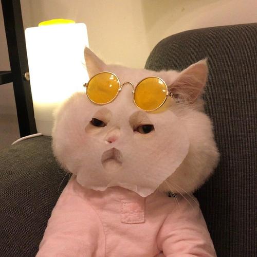 求这个敷面膜的胖胖猫猫头
