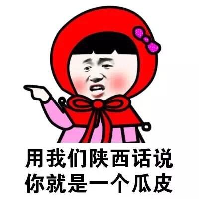 用我们陕西话说,你就是一个瓜皮 - 你就是一个索嗨(方言系列)_表情
