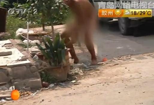 青岛惊现裸奔男一丝不挂满街转拒联系家人图
