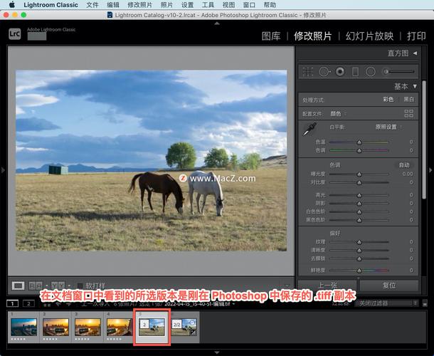 lightroomclassic教程如何使用photoshop和lightroom优化照片