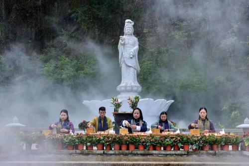 春意正浓时,茶香尤芬芳 南通军山景区茶文化活动上演