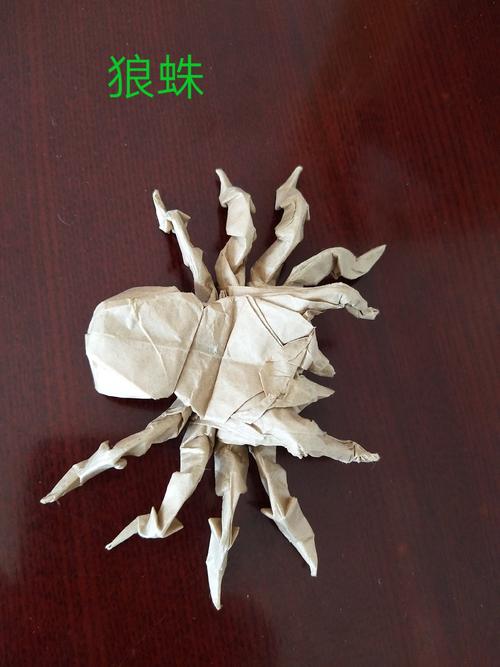 折纸,与成长相伴