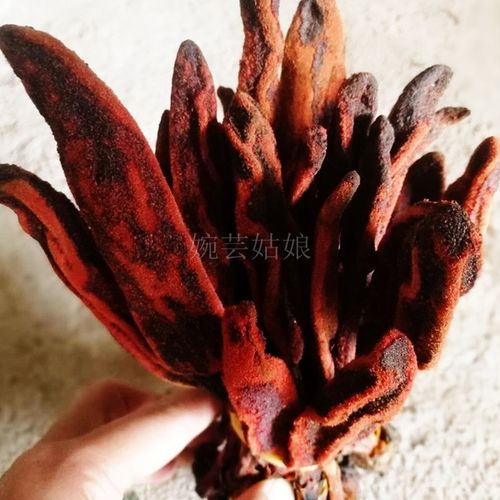 回春草野生顶天柱500g 男性 草丛蓉不老草云南泡水煲汤泡酒料包邮