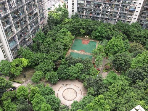 弹子石 东海长洲b区两房1600元/月