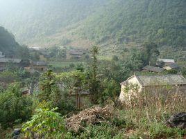 草果地自然村