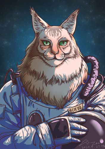 帅气缅因猫的航天旅行.