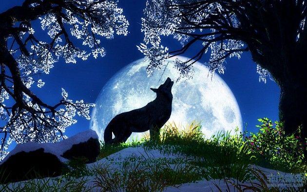 月圆狼叫背景图片素材-非凡图库