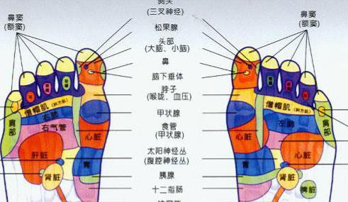 展开全部 在脚的大拇指下面.见图. 向左转  向右转