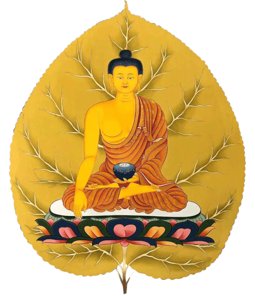 今天,殊胜的萨嘎月开始了