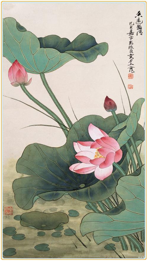 国画欣赏俞致贞的工笔荷花欣赏