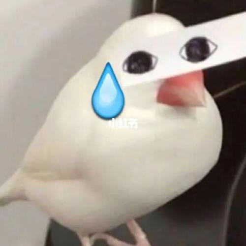 可爱崽崽尴尬表情包分享～_表情包_素材_表情包