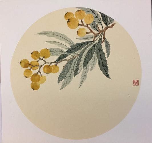 陈静2019年10月17枇杷作业