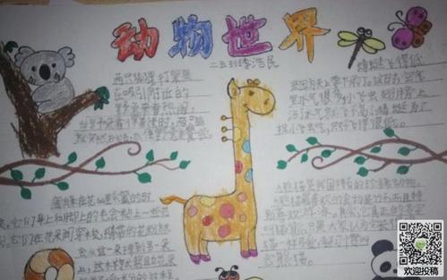 61动画动物手抄报 动物手抄报