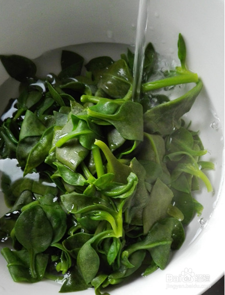 凉拌三七叶的做法大全