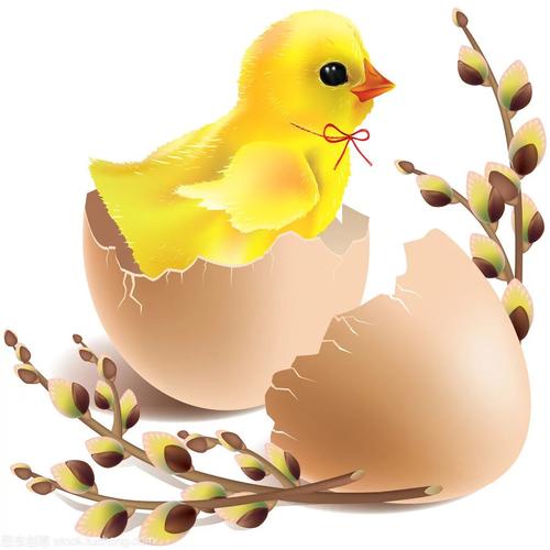 许由路幼儿园芒果班教学活动《小鸡捉虫》