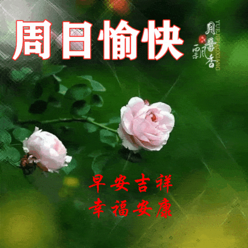 20216116131星期天早安30心语