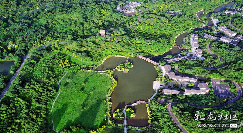 航拍长江边泸州市的张坝桂圆林