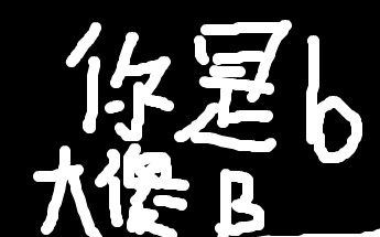 你是b大傻b
