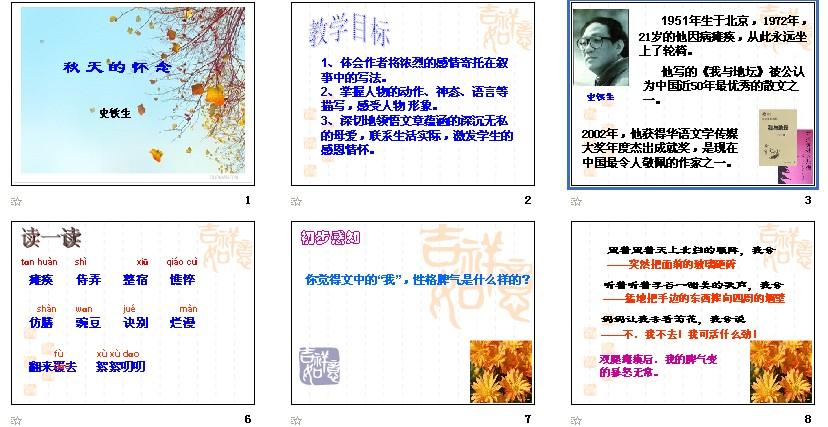 《秋天的怀念》课件用