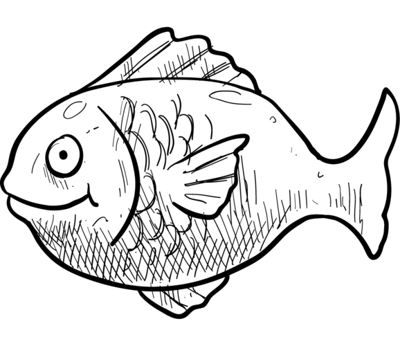 卡通鱼图片大全