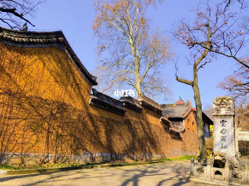 南京景点|灵谷寺_景点_灵谷寺_周末_参天_建筑_风景_冬天去哪玩_周末