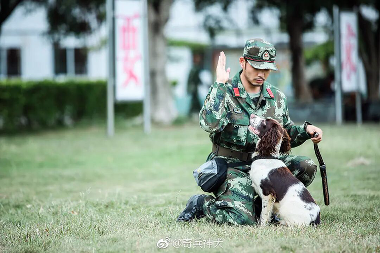 综艺《奇兵神犬》