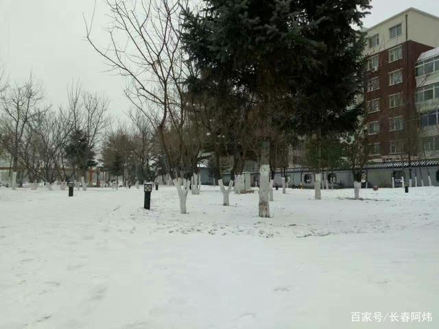长春"魅力二道区"