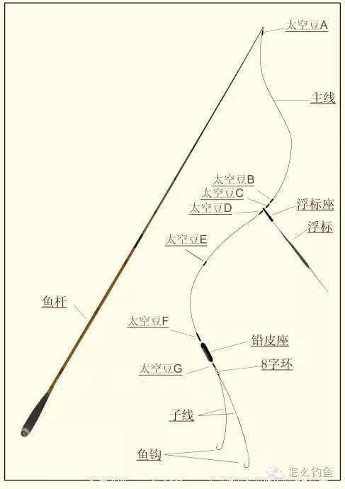 怎么组装鱼竿