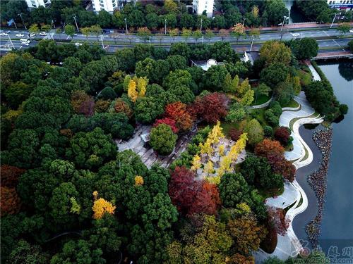 图为11月8日拍摄的星海公园.