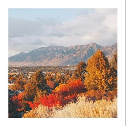 初秋的颜色唤醒你我的专属回忆