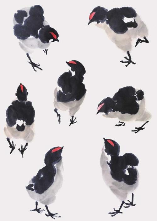 转载国画中雏鸡的画法