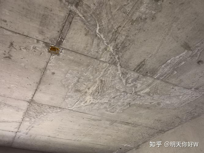 未交房的毛坯房客厅卧室顶部有水渍感觉还有裂纹很大面积请问该怎么