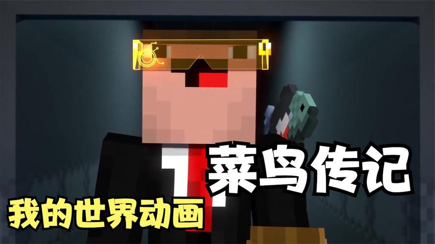 我的世界菜鸟传记