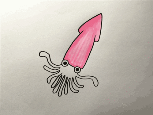 乌贼简笔画图片 乌贼怎么画
