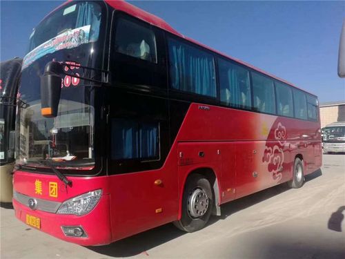 正规大巴车公司