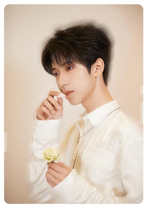 礼包团贺峻霖周边全新写真集专辑应援海报明信片 全新写真套装 贺峻霖