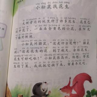 亲子诵读～小松鼠找花生