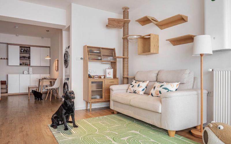 家里养猫咪的可以参考一下呀～室内设计/工作间设计/宜家家居/欧式